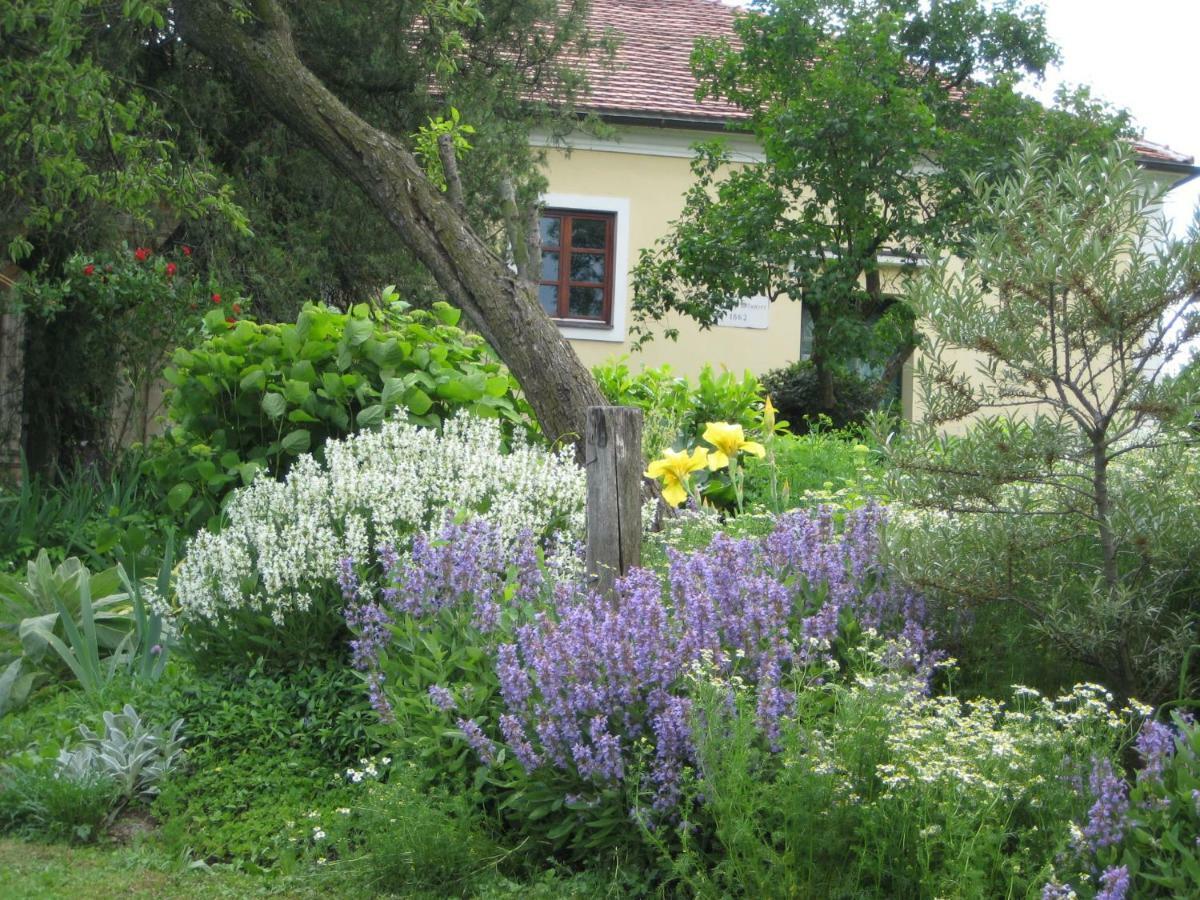 Slovenske Konjice Mala Kmetija Bed & Breakfast エクステリア 写真