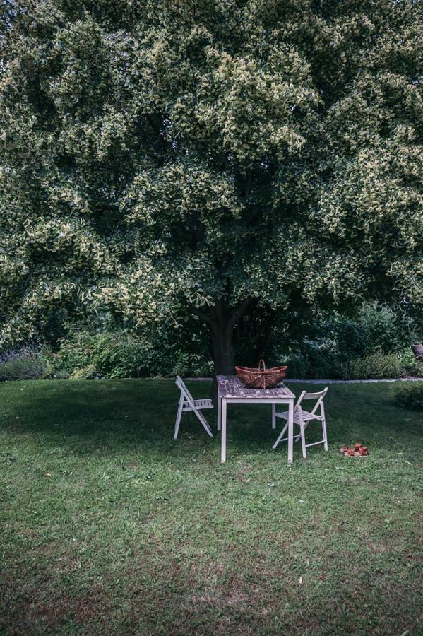 Slovenske Konjice Mala Kmetija Bed & Breakfast エクステリア 写真