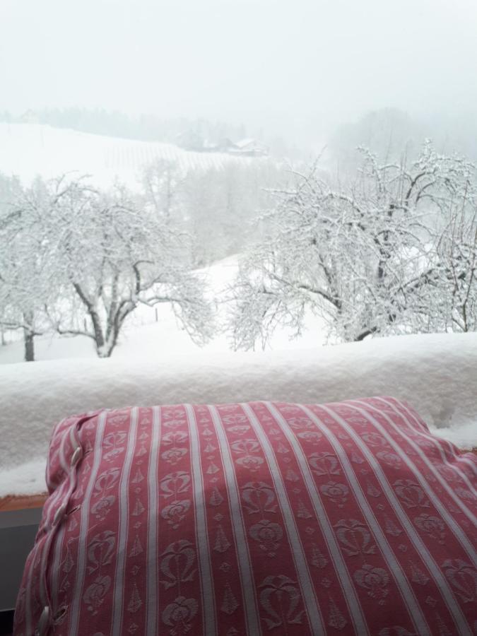 Slovenske Konjice Mala Kmetija Bed & Breakfast エクステリア 写真